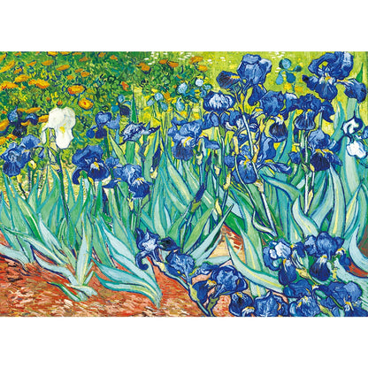 Vincent Van Gogh's "Irises"